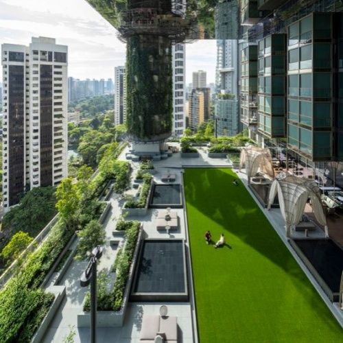 Дизайн отеля Green Roof
