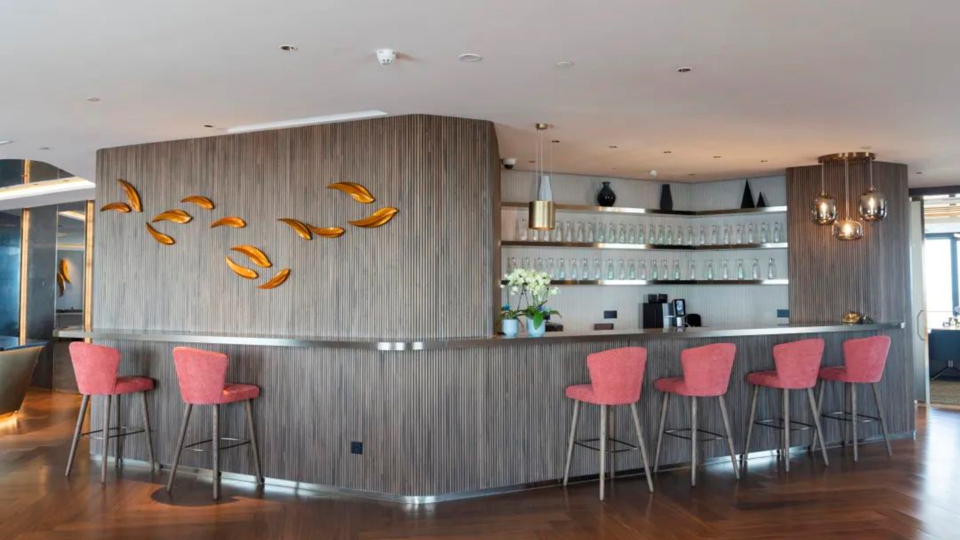 微信图片 _20240613172527